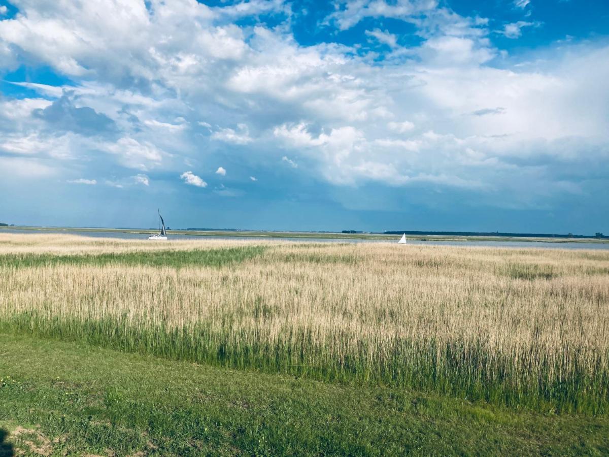 Fewo VI Villa Nicole Hafenstrasse 37 Zingst Zewnętrze zdjęcie