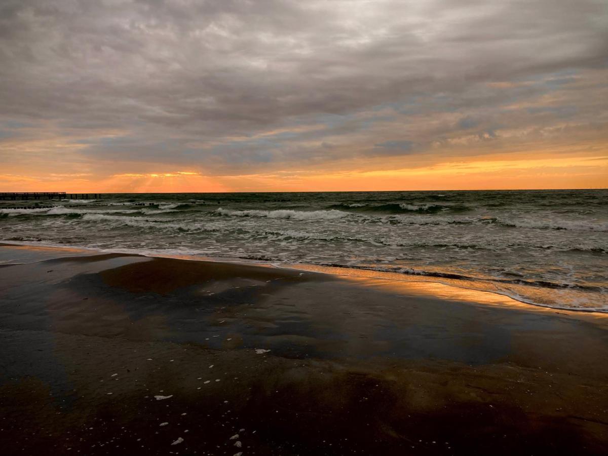 Fewo VI Villa Nicole Hafenstrasse 37 Zingst Zewnętrze zdjęcie